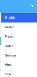 User change language